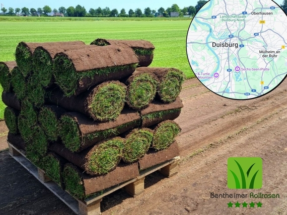Rollrasen Sorten f&uuml;r Duisburg - Bequem online bestellen bei Bentheimer Rollrasen