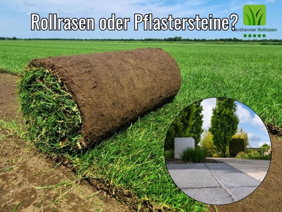 Rollrasen Stuttgart- Ab &euro;2,75 pro m&sup2;.jpg