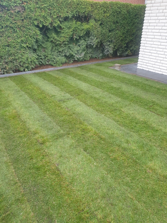 Rollrasen lieferung Duisburg - Ab 2,75 &euro;