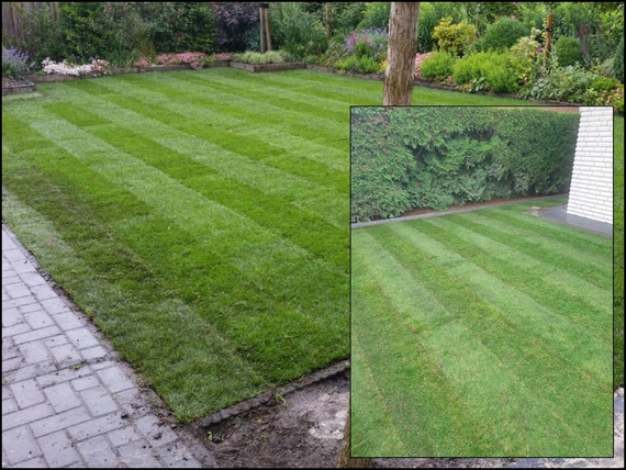 Rollrasen kaufen Aachen - Online Bestellen, schnelle lieferung - ab 2,75 &euro; pro m&sup2;