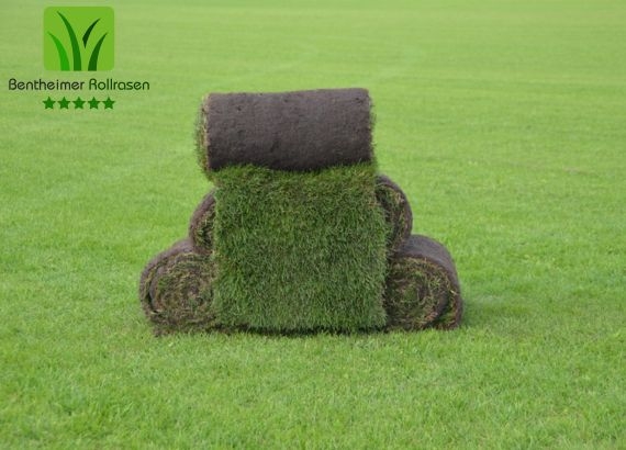 Bentheimer Rollrasen - Rollrasen kaufen ab 2,75 &euro; - inklusive lieferung in Duisburg