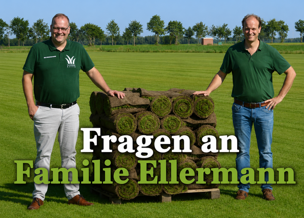 Fragen an Ellermann.png