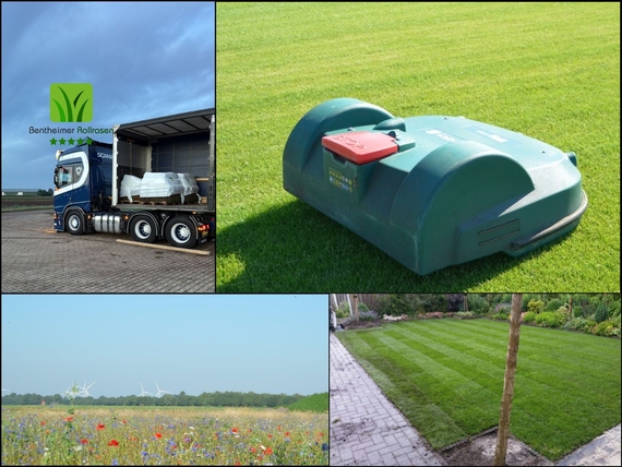 Rollrasen g&uuml;nstig kaufen Aachen - ab 2,75&euro; inklusive Lieferung