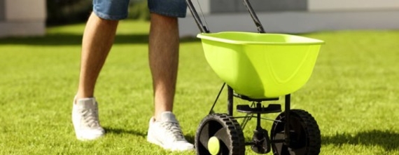 ellermanngraszodengrasbemesten.jpg