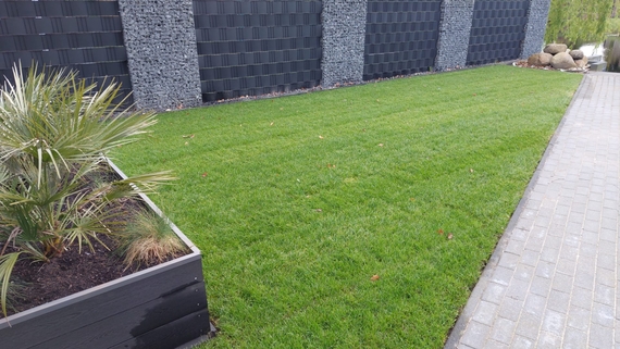 Rollrasen verlegen in Münster - Preise ab 2,75 € pro m²