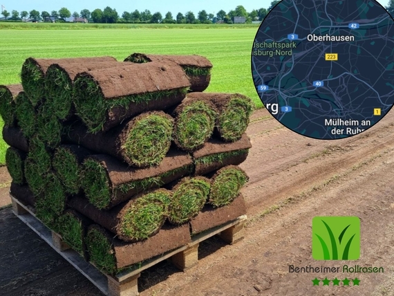 Rollrasen Oberhausen - kaufen ab 2,75&euro; pro m&sup2;