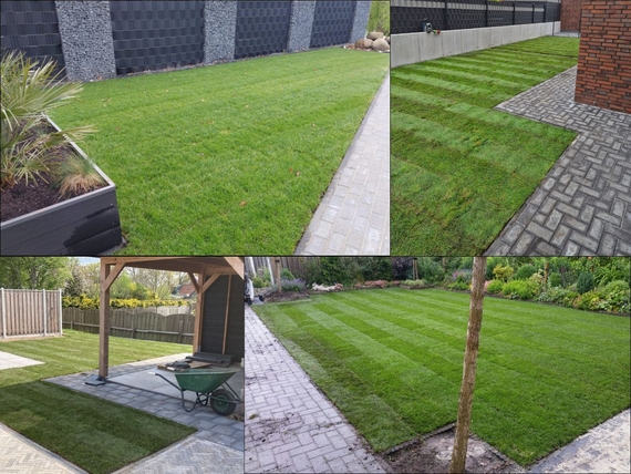 Rollrasen Kaufen Aachen - Ab &euro;2,75 pro m&sup2; (1).jpg