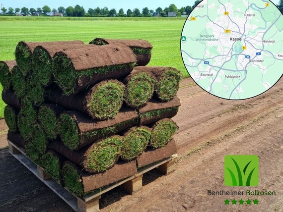 Rollrasen kaufen Kassel - Online Bestellen - ab 2,75 &euro; pro m&sup2;