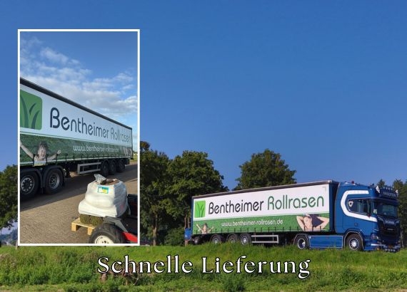 Rollrasen kaufen in Köln - Online Bestellen - ab 2,75 € pro m²