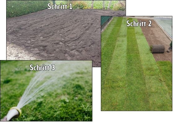 Rollrasen verlegen Bielefeld - Schnelle lieferung in Bielefeld - Ab 2,75 € pro m²