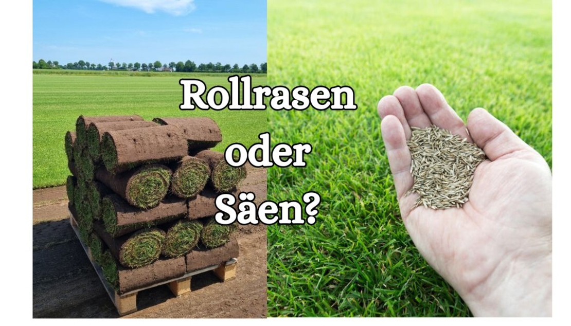 Premium Rollrasen verlegen Deutschlandweit