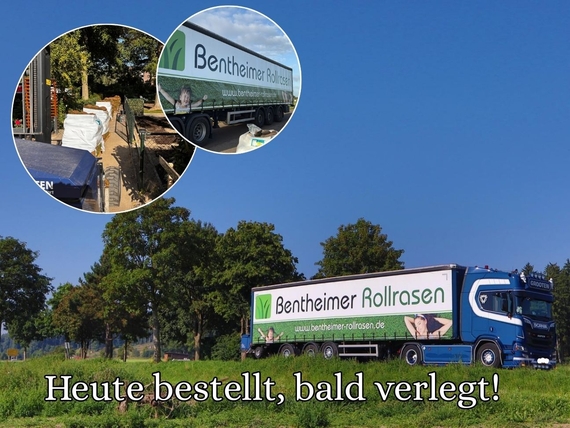 Rollrasen kaufen Steinfurt - Direkt vom produzenten!