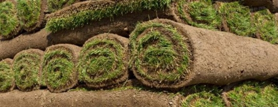 ellermanngraszodenbewaren.jpg