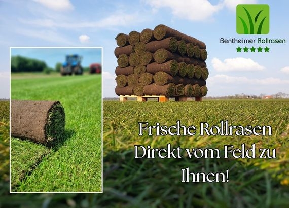 Rollrasen Kaufen Köln - Schnell Online Bestellen - Preise Ab 2,75 €.jpg