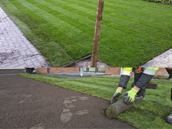 Rollrasen kaufen in Kassel - Online Bestellen - ab 2,75 &euro; pro m&sup2;