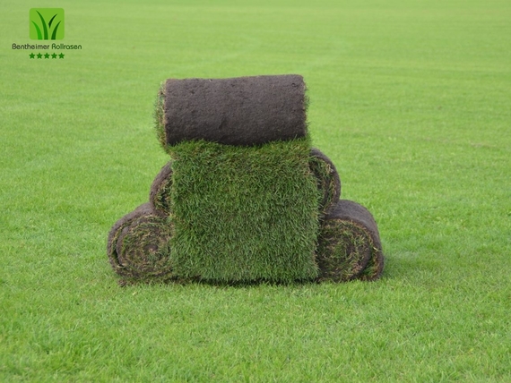 Rollrasen kaufen Niedersachsen - Online Bestellen, und liefern lassen - ab 2,75 &euro; pro m&sup2;