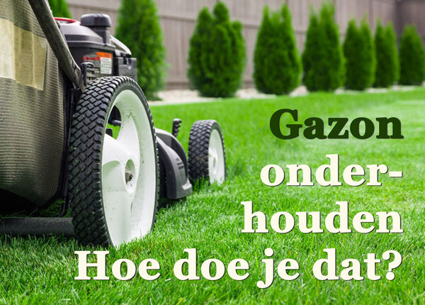 9cae636597886bab01ff9db639ec3a.jpg