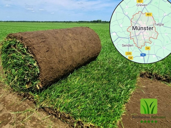 Rollrasen kaufen in Münster - Einfach online bestellen - Preise ab 2,75 € pro m²