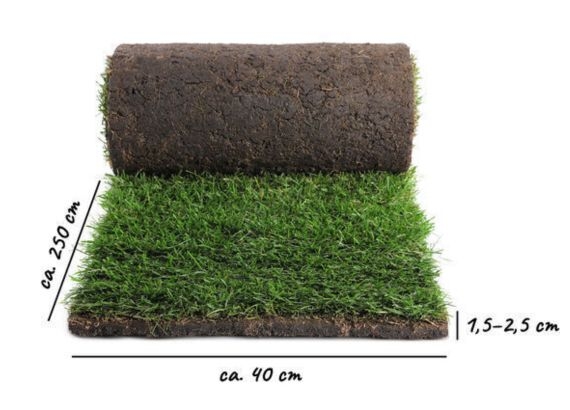 Rollrasen kaufen in Dortmund - Schnelle lieferung - ab 2,75 € pro m²