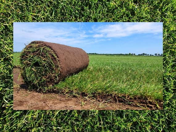 Rollrasen Kassel - Bequem online bestellen bei Bentheimer Rollrasen