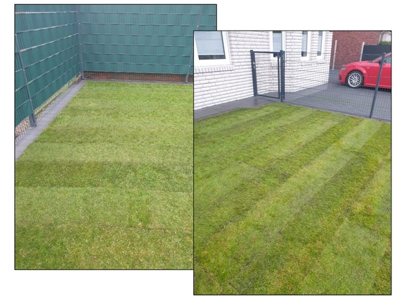 Rollrasen kaufen in Dortmund - Online Bestellen, schnelle lieferung - ab 2,75 € pro m²