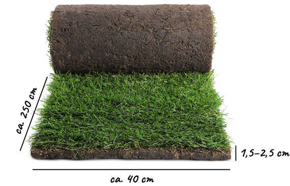 Rollrasen Solingen - Direkt vom produzenten, ohne aufpreis!