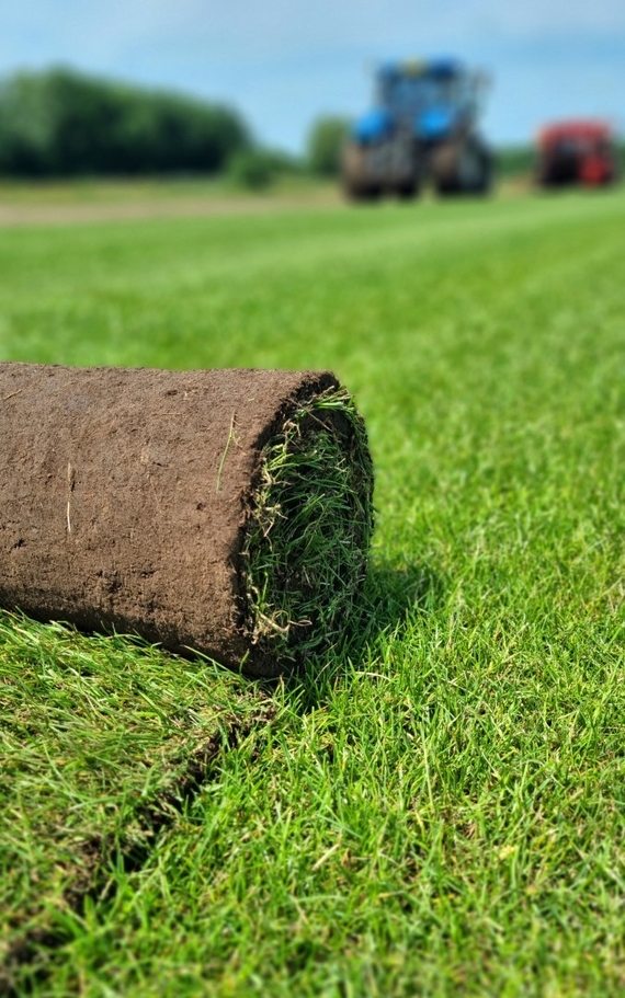 Top-Qualität Rollrasen kaufen in Bremen - ab 2,75€ pro m²