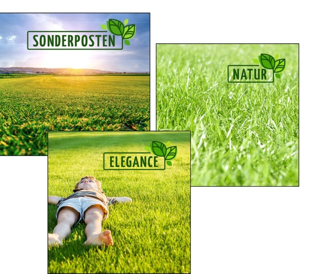 Rollrasen kaufen Dortmund - Rollrasen Bestellen Dortmund - Lieferung bis zu Haustür