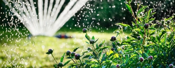 ellermanngraszodenwatergevensproeien.jpg