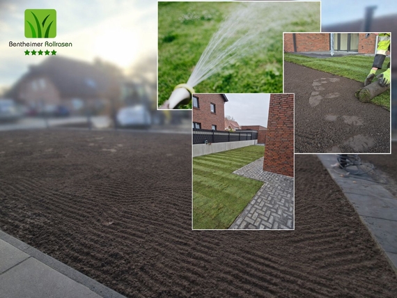 Rollrasen Solingen - Direkt vom produzenten, ohne aufpreis!