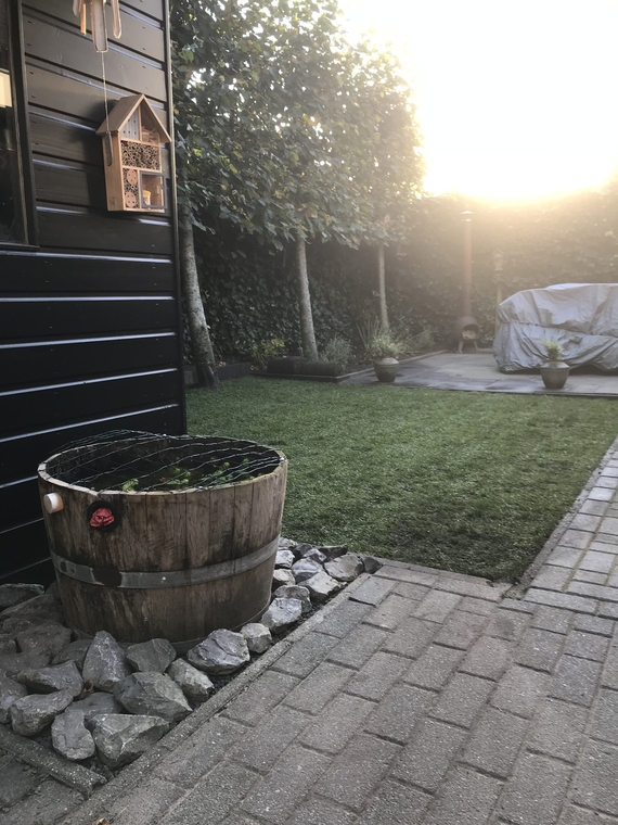 Rollrasen kaufen in Bielefeld - Online Bestellen, schnelle lieferung in Bielefeld - ab 2,75 € pro m²