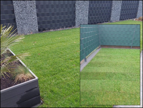 Rollrasen kaufen Kiel-Hassee - Online Bestellen - ab 2,75 &euro; pro m&sup2;