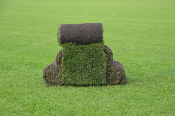 Rollrasen Kaufen in Haren Ems - Abholung Fertigrasen - ab 2,75 € pro m²