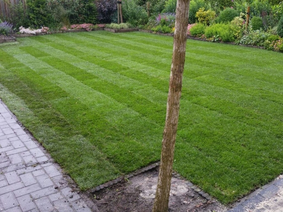 Rollrasen kaufen in Solingen - schnelle lieferung - ab 2,75 &euro; pro m&sup2;