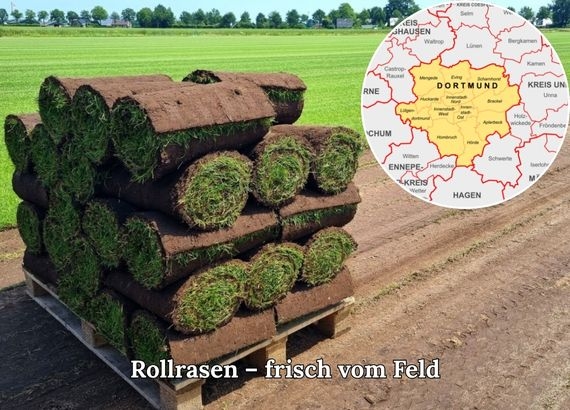 Rollrasen kaufen Dortmund - Online Bestellen und liefern lassen in Dortmund und Umgebung - ab 2,75 € pro m²