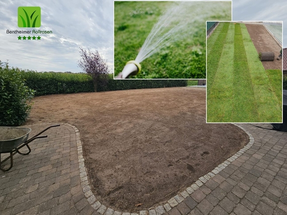Rollrasen kaufen Paderborn - Bentheimer Rollrasen