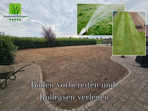 Rollrasen online bestellen und liefern lassen in Leipzig..jpg