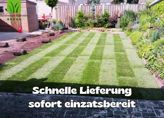 Rollrasen Münster - Rollrasen ab 2,75 € pro m²