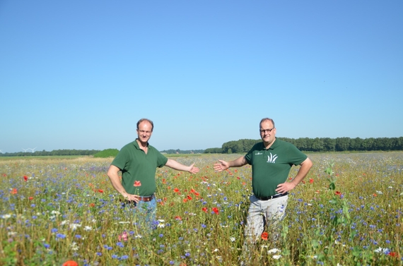 Rollrasen kaufen in Niedersachsen- Rollrasen direkt vom Produzenten, ab 2,75&euro; pro m&sup2;