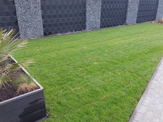 Rollrasen kaufen in Solingen - Online Bestellen - ab 2,75 &euro; pro m&sup2;