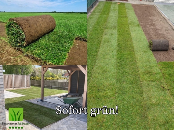 Rollrasen kaufen in Paderborn - Online Bestellen, schnelle lieferung - ab 2,75 &euro; pro m&sup2;