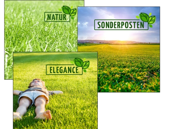 Rollrasen Karlsruhe - Ab &euro;2,75 pro m&sup2;.jpg