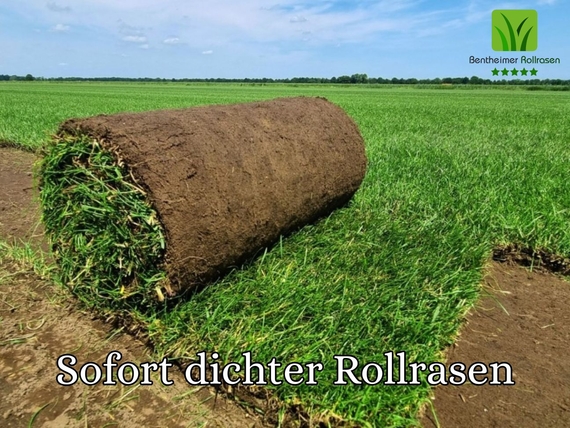 Rollrasen verlegen in Bonn - Preise ab 2,75 &euro; pro m&sup2;