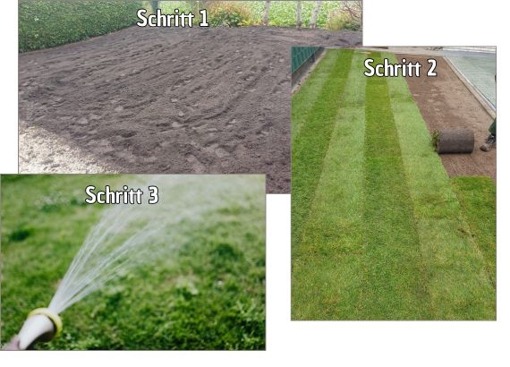 Rollrasen kaufen in Steinfurt - Bentheimer Rollrasen