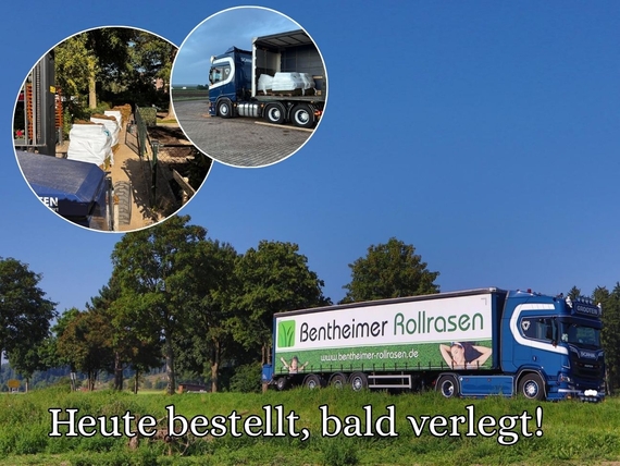 Schnelle lieferung von Rollrasen in Münster - Rollrasen ab 2,75 € pro m²