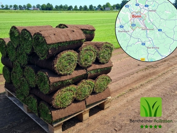 Rollrasen kaufen Bonn - Rollrasen ab 2,75 &euro; pro m&sup2; inklusive Lieferung