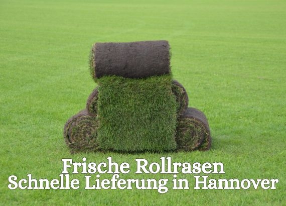 Rollrasen Hannover - Rollrasen kaufen und Liefern lassen in Hannover - Preise schon ab 2,75 € pro m²