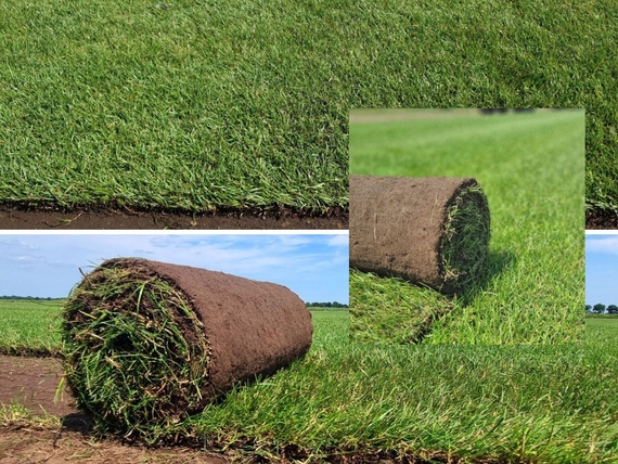 Rollrasen Kaufen in Haren Ems - Heute Bestellt, Morgen Abholen! Preise ab 2,75 € pro m²