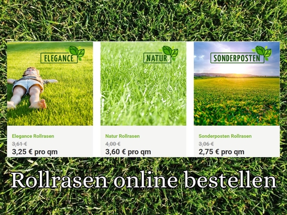 Rollrasen Kiel - Rollrasen Online bestellen in Kiel und Umgebung